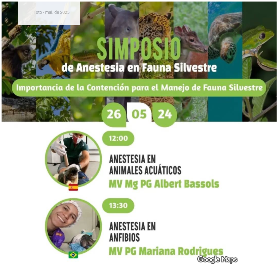 Anestesia em Anfíbios - Univ Cartano Eredias - Peru
